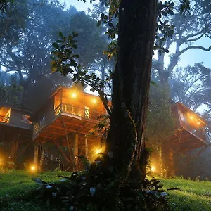 Resort Nature Zone Jungle ****